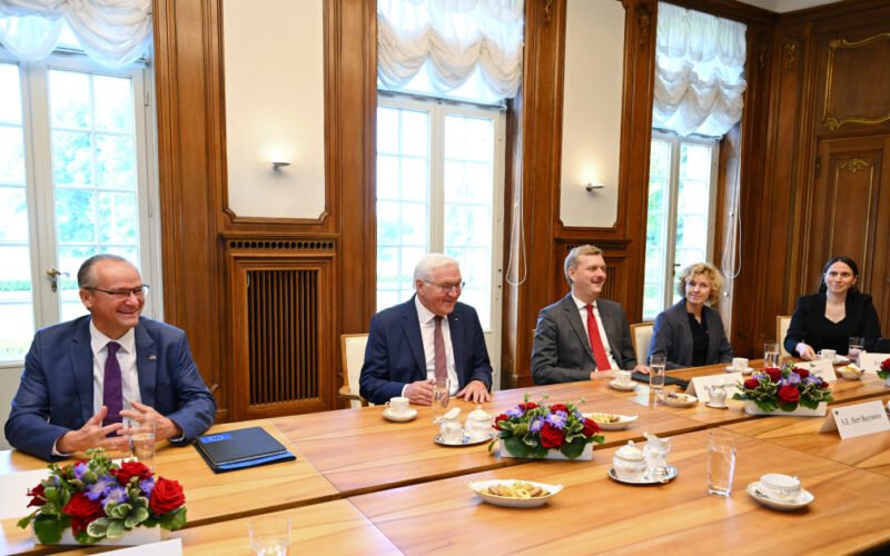 Ilham Aliyev and Frank-Walter Steinmeier during the meeting in Berlin
