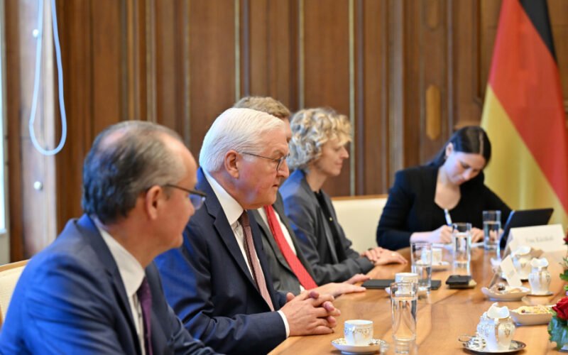 Ilham Aliyev and Frank-Walter Steinmeier during the meeting in Berlin
