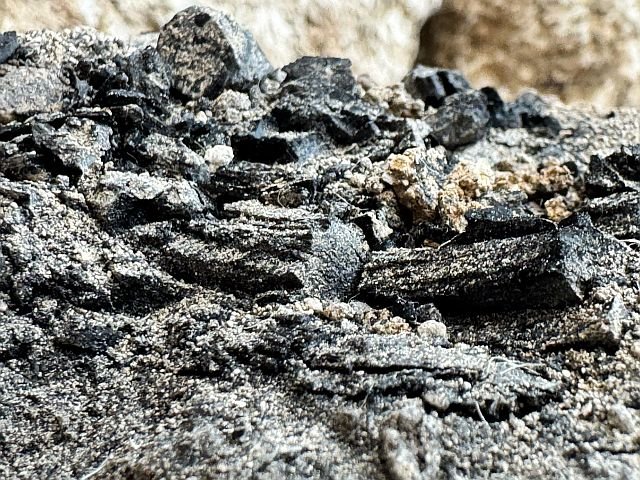 Обугленные деревянные балки, найденные при раскопках в Иерусалиме