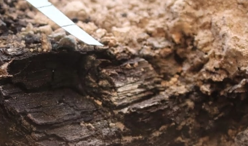 Rare wooden beams from the destruction of the First Temple found in Jerusalem