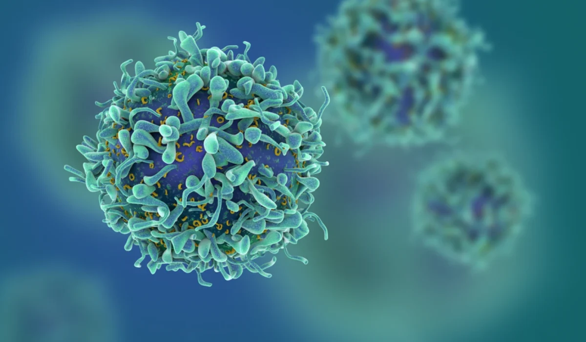 Secret of cancer development revealed: Israeli scientists discover new mechanism