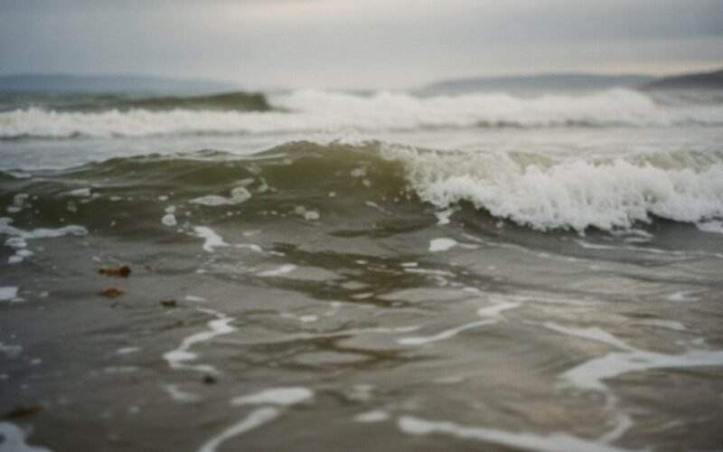 Several water desalination plants in Israel suspend operations